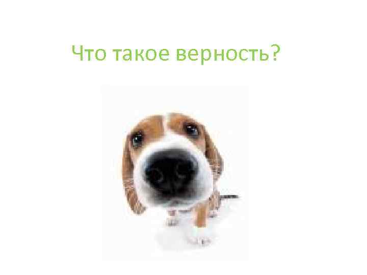 Что такое верность? 