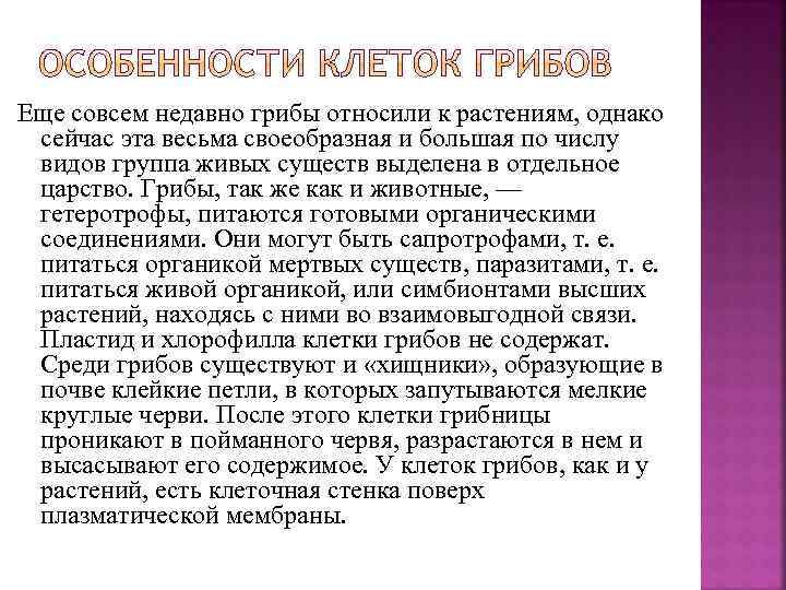 Еще совсем недавно грибы относили к растениям, однако сейчас эта весьма своеобразная и большая