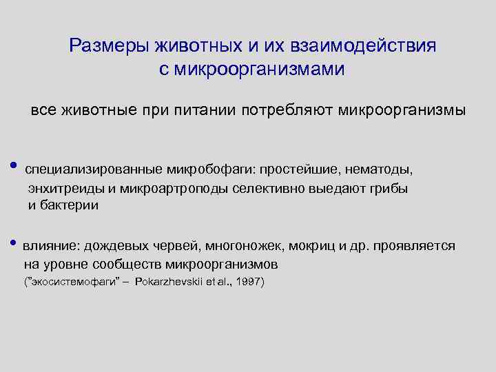 Размеры животных и их взаимодействия с микроорганизмами все животные при питании потребляют микроорганизмы •