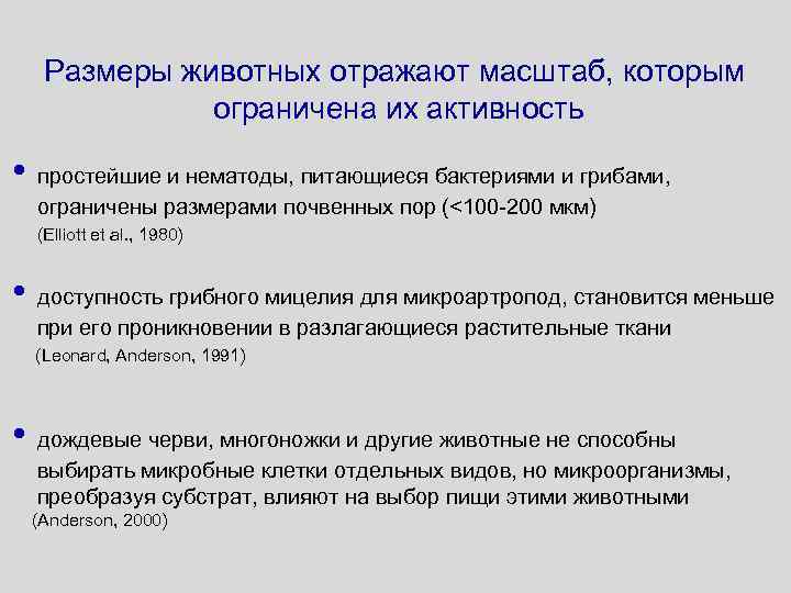 Размеры животных отражают масштаб, которым ограничена их активность • простейшие и нематоды, питающиеся бактериями