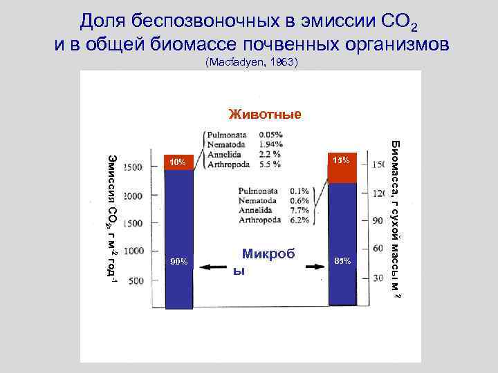 Доля беспозвоночных в эмиссии СО 2 и в общей биомассе почвенных организмов (Macfadyen, 1963)
