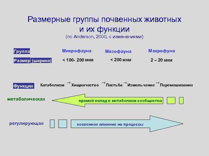 Размерные группы почвенных животных и их функции (по Anderson, 2000, с изменениями) Группа Микрофауна