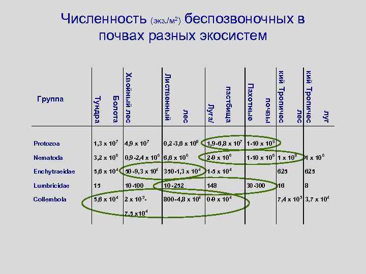 Численность (экз. /м ) беспозвоночных в почвах разных экосистем 2 50 -9, 3 x