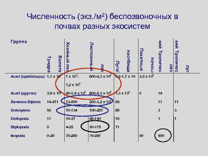 Численность (экз. /м 2) беспозвоночных в почвах разных экосистем 3 3 3, 8 x