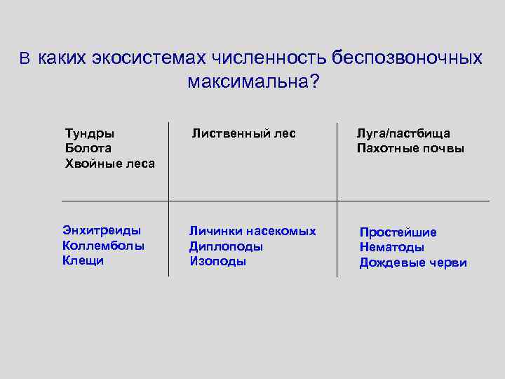 В каких экосистемах численность беспозвоночных максимальна? Тундры Болота Хвойные леса Лиственный лес Луга/пастбища Пахотные