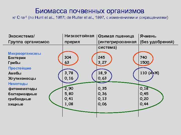 Биомасса почвенных организмов кг С га-1 (по Hunt et al. , 1987; de Ruiter