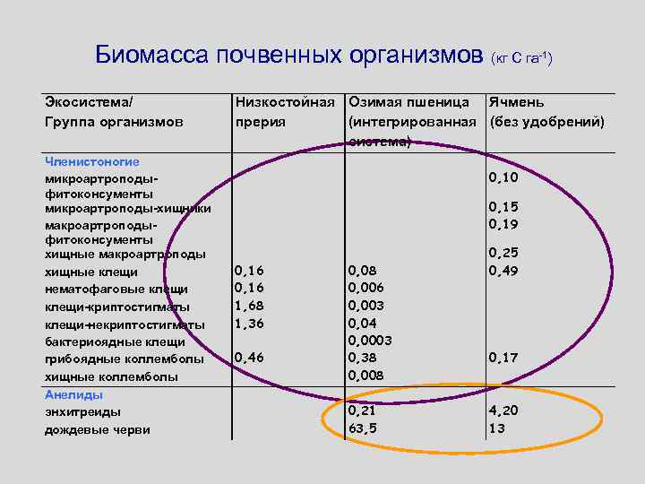 Биомасса почвенных организмов (кг С га Экосистема/ Группа организмов Членистоногие микроартроподыфитоконсументы микроартроподы-хищники макроартроподыфитоконсументы хищные