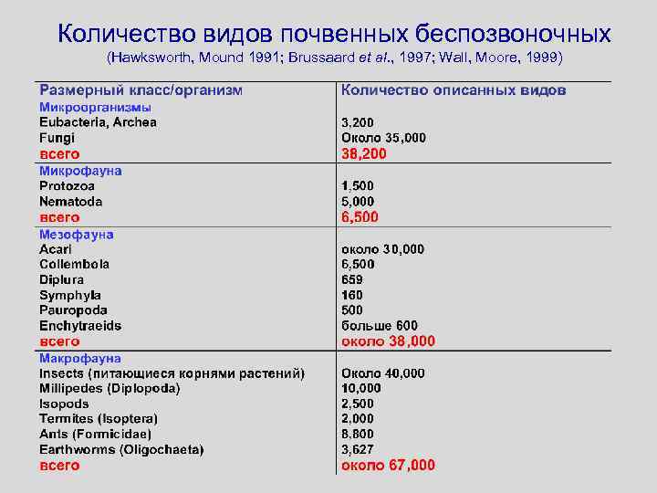 Количество видов почвенных беспозвоночных (Hawksworth, Mound 1991; Brussaard et al. , 1997; Wall, Moore,