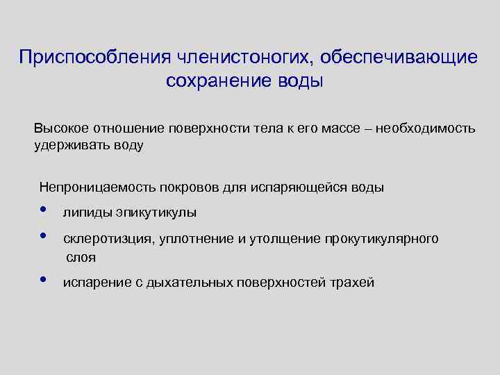 Приспособления членистоногих, обеспечивающие сохранение воды Высокое отношение поверхности тела к его массе – необходимость