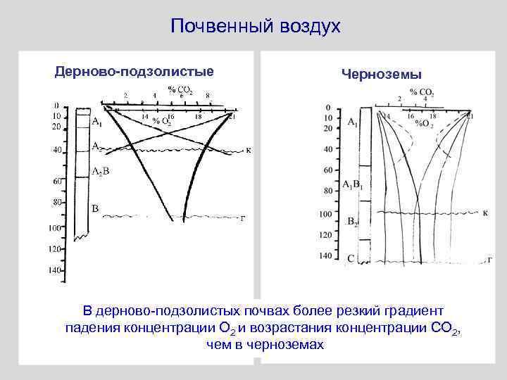 Почвенный воздух Дерново-подзолистые Черноземы В дерново-подзолистых почвах более резкий градиент падения концентрации О 2