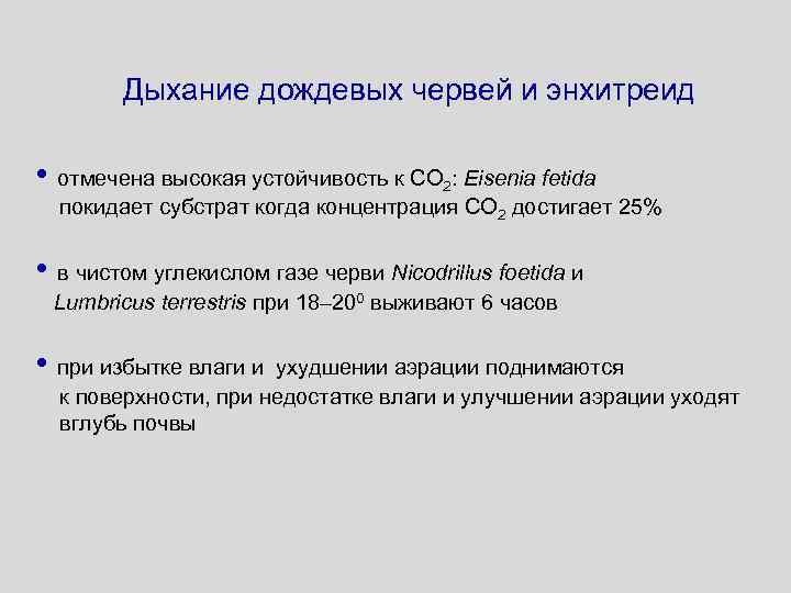 Дыхание дождевых червей и энхитреид • отмечена высокая устойчивость к СО 2: Eisenia fetida