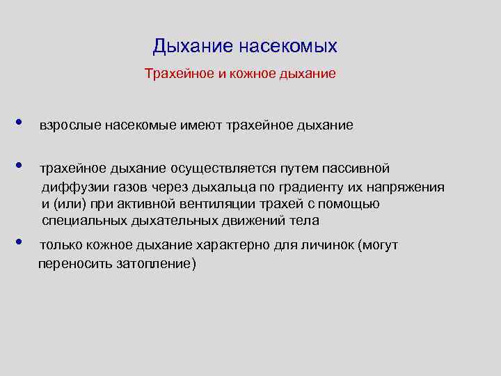 Дыхание насекомых Трахейное и кожное дыхание • • • взрослые насекомые имеют трахейное дыхание