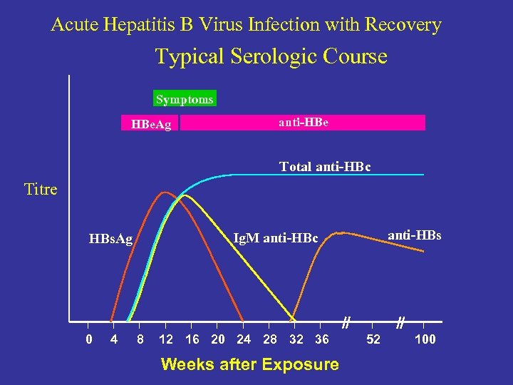 Acute Hepatitis B Virus Infection with Recovery Typical Serologic Course Symptoms HBe. Ag anti-HBe