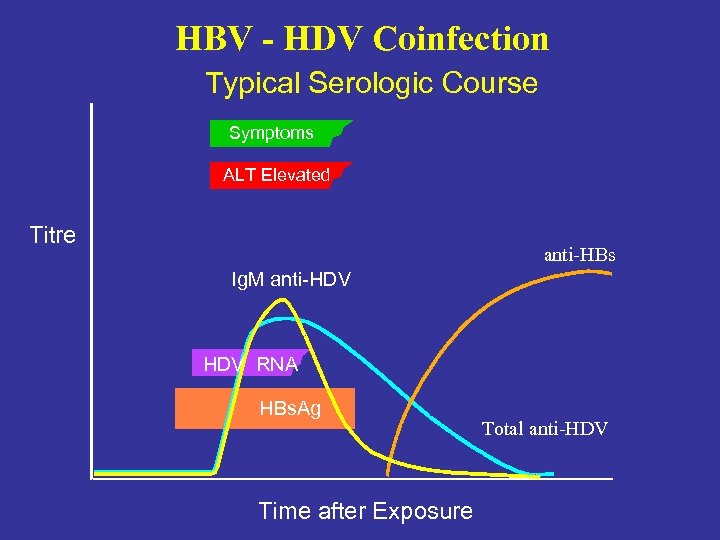 HBV - HDV Coinfection Typical Serologic Course Symptoms ALT Elevated Titre anti-HBs Ig. M