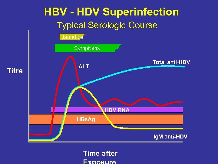 HBV - HDV Superinfection Typical Serologic Course Jaundice Symptoms Titre Total anti-HDV ALT HDV