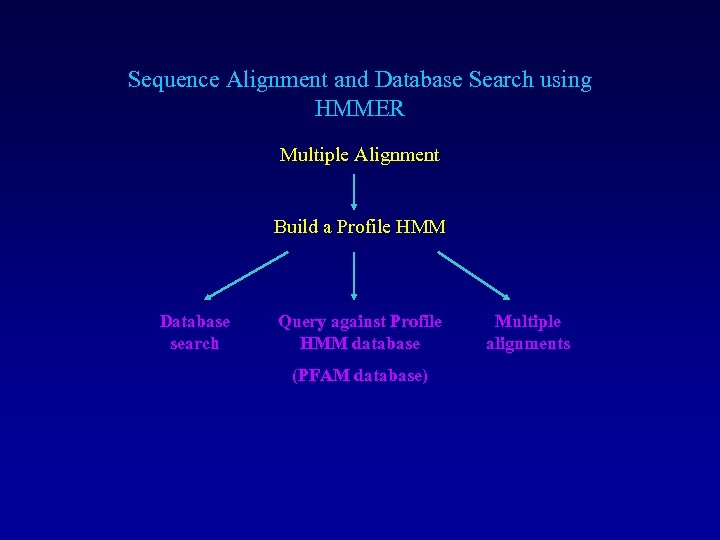 Sequence Alignment and Database Search using HMMER Multiple Alignment Build a Profile HMM Database
