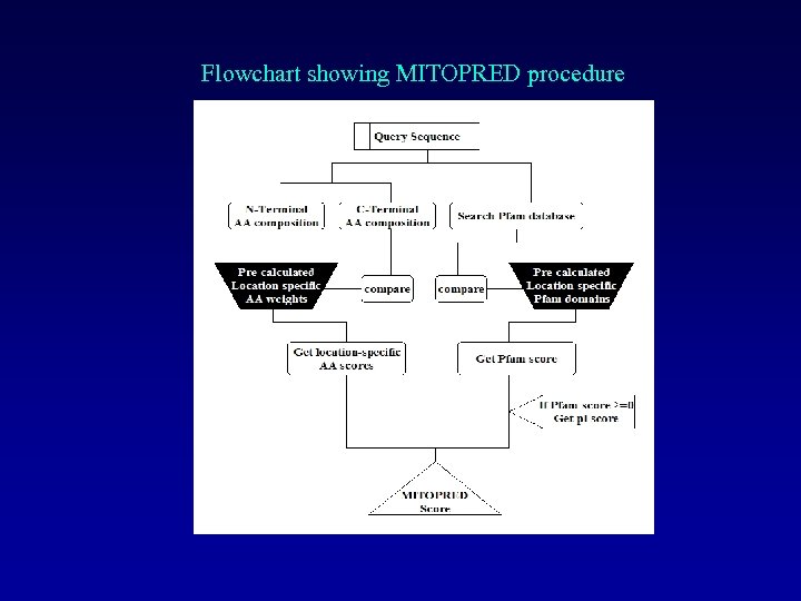 Flowchart showing MITOPRED procedure 