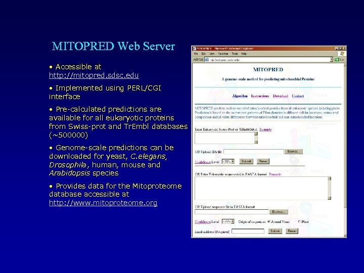 MITOPRED Web Server • Accessible at http: //mitopred. sdsc. edu • Implemented using PERL/CGI