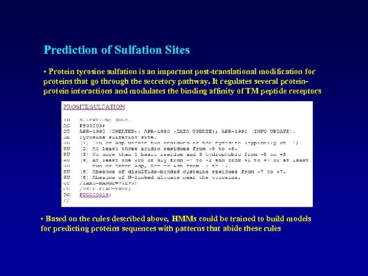 Prediction of Sulfation Sites • Protein tyrosine sulfation is an important post-translational modification for