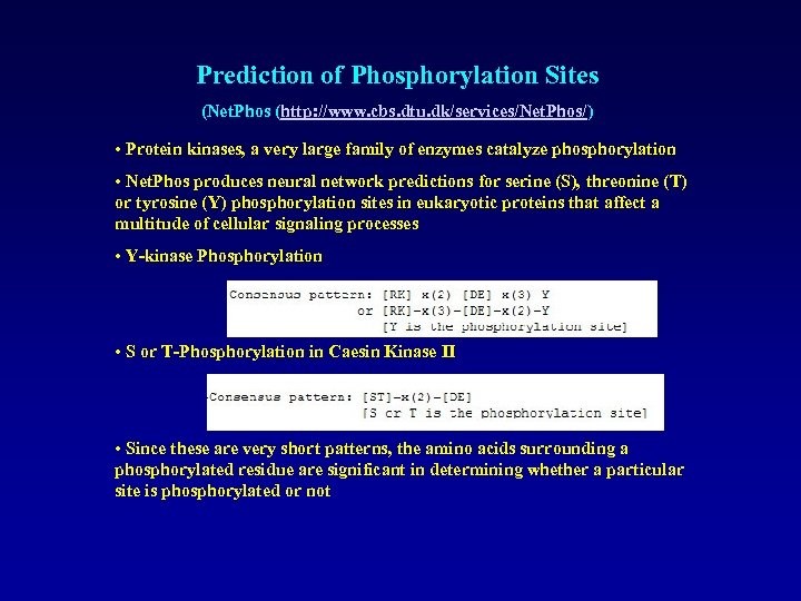 Prediction of Phosphorylation Sites (Net. Phos (http: //www. cbs. dtu. dk/services/Net. Phos/) • Protein