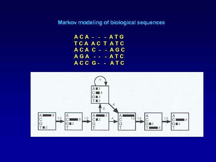 Markov modeling of biological sequences ACA TCA AGA ACC - AC C - G-