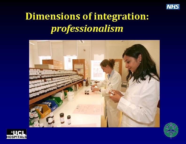 Dimensions of integration: professionalism 