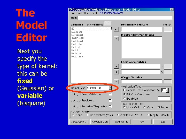 The Model Editor Next you specify the type of kernel: this can be fixed