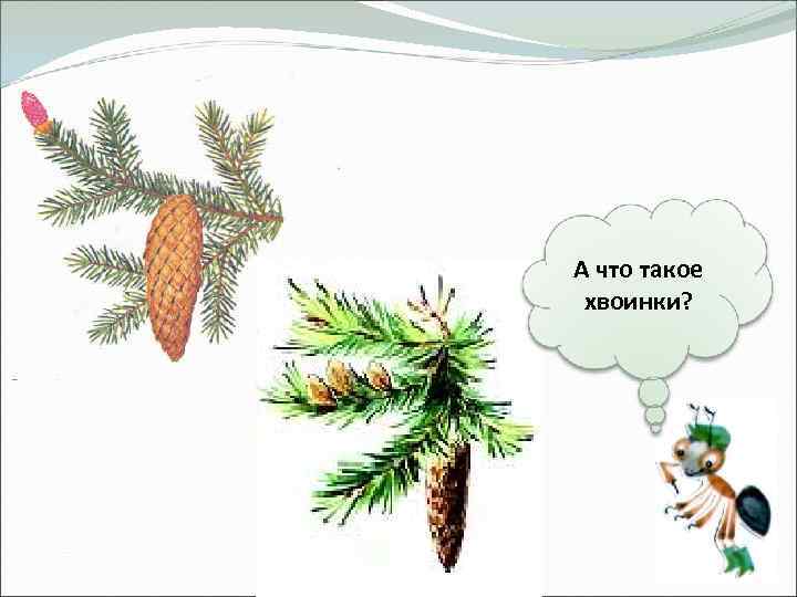 А что такое хвоинки? 