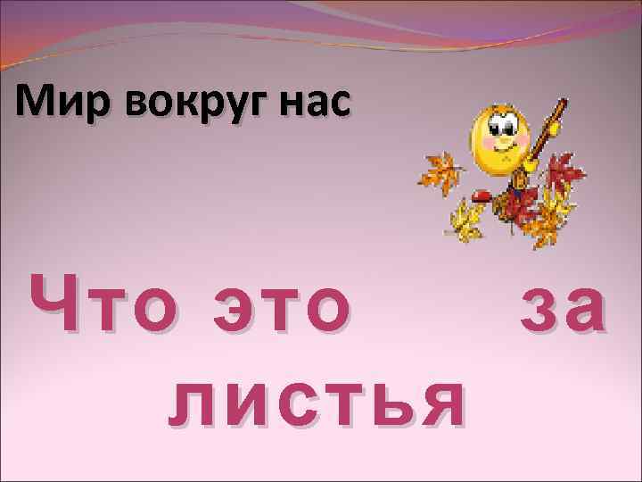 Мир вокруг нас Что это за листья 