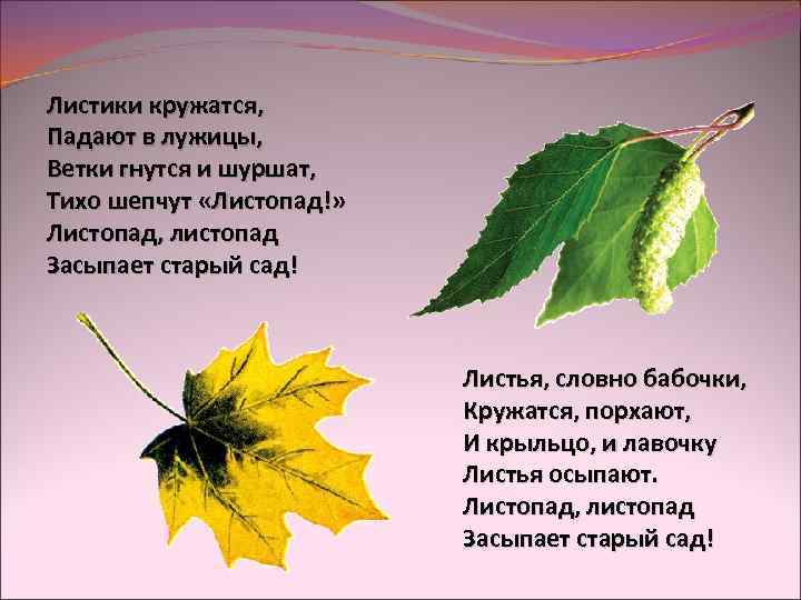 Листики кружатся, Падают в лужицы, Ветки гнутся и шуршат, Тихо шепчут «Листопад!» Листопад, листопад