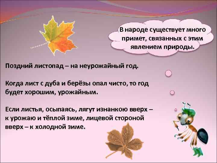 В народе существует много примет, связанных с этим явлением природы. Поздний листопад – на