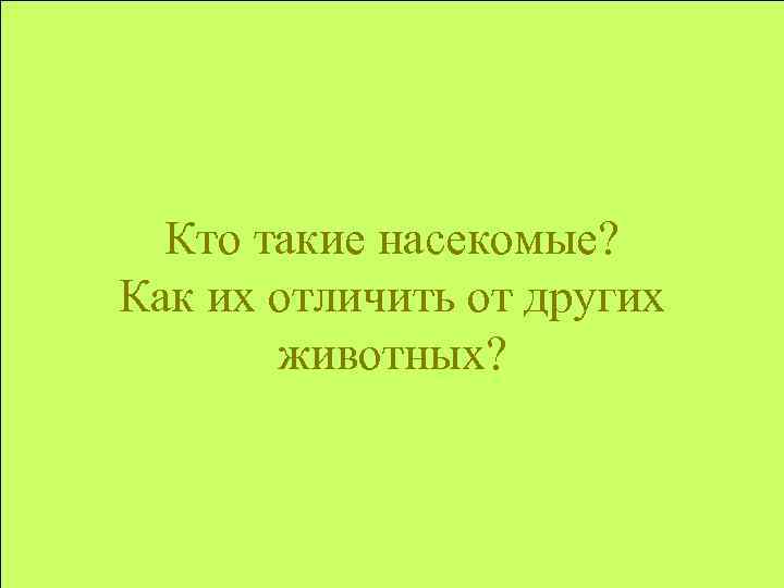 Кто такие насекомые? Как их отличить от других животных? 