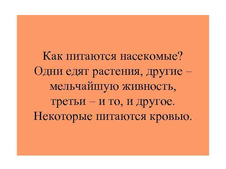 Как питаются насекомые? Одни едят растения, другие – мельчайшую живность, третьи – и то,