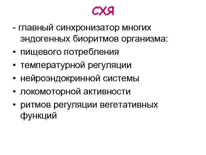 СХЯ - главный синхронизатор многих эндогенных биоритмов организма: • пищевого потребления • температурной регуляции