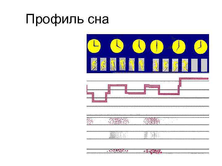 Профиль сна 