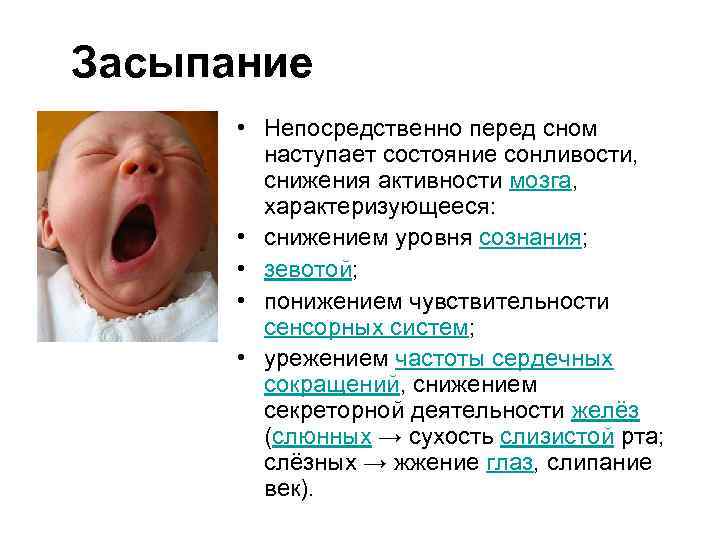 Засыпание • Непосредственно перед сном наступает состояние сонливости, снижения активности мозга, характеризующееся: • снижением