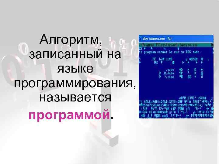 Записи алгоритмов на языках программирования называются