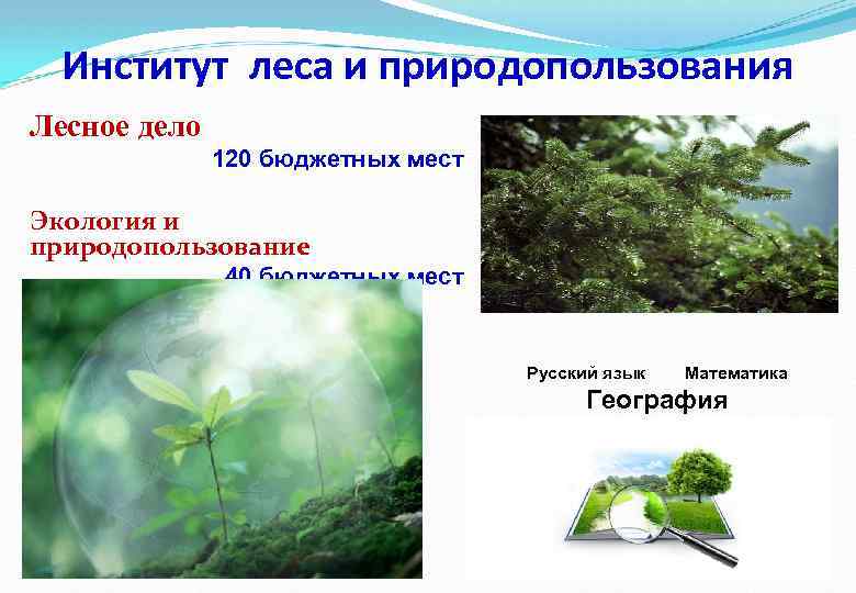 Институт леса и природопользования Лесное дело 120 бюджетных мест Экология и природопользование 40 бюджетных