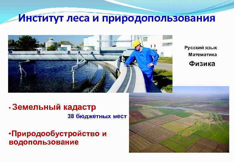 Институт леса и природопользования Русский язык Математика Физика • Земельный кадастр 38 бюджетных мест