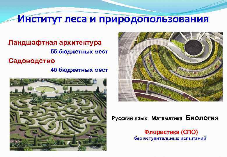 Институт леса и природопользования Ландшафтная архитектура 55 бюджетных мест Садоводство 40 бюджетных мест Русский