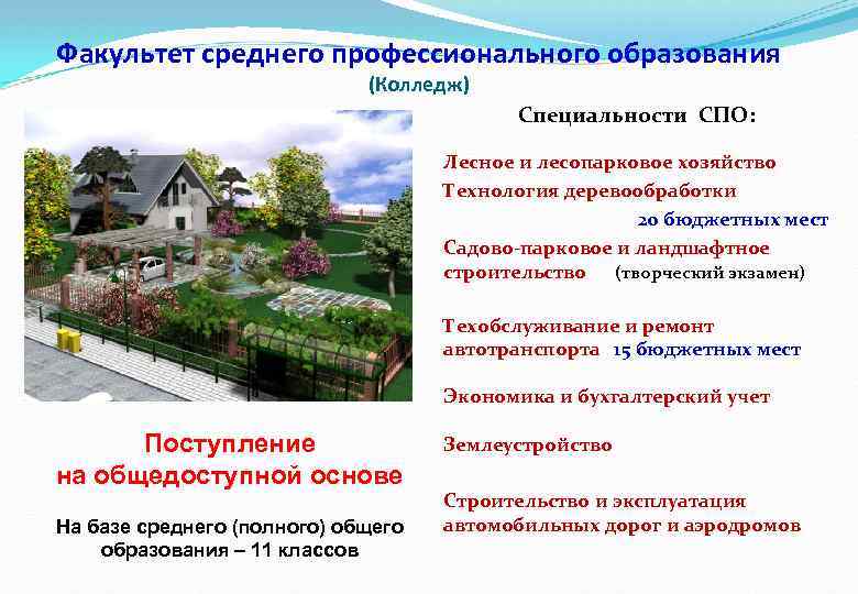 Факультет среднего профессионального образования (Колледж) Специальности СПО: Лесное и лесопарковое хозяйство Технология деревообработки 20