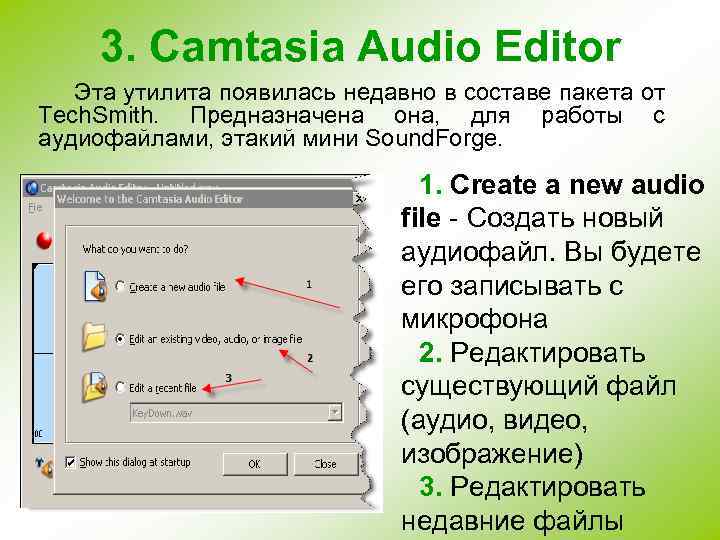 3. Camtasia Audio Editor Эта утилита появилась недавно в составе пакета от Tech. Smith.