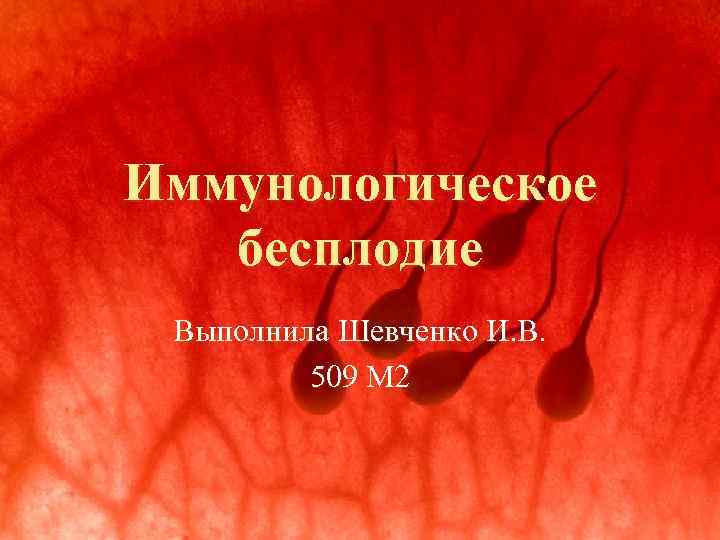 Иммунологическое бесплодие Выполнила Шевченко И. В. 509 М 2 