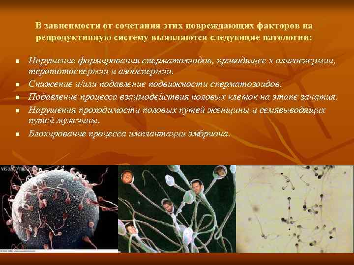 В зависимости от сочетания этих повреждающих факторов на репродуктивную систему выявляются следующие патологии: n