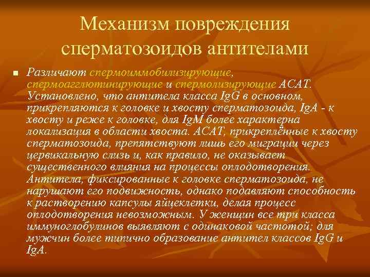 Механизм повреждения сперматозоидов антителами n Различают спермоиммобилизирующие, спермоагглютинирующие и спермолизирующие АСАТ. Установлено, что антитела