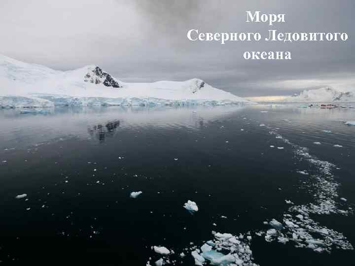 Моря Северного Ледовитого океана 