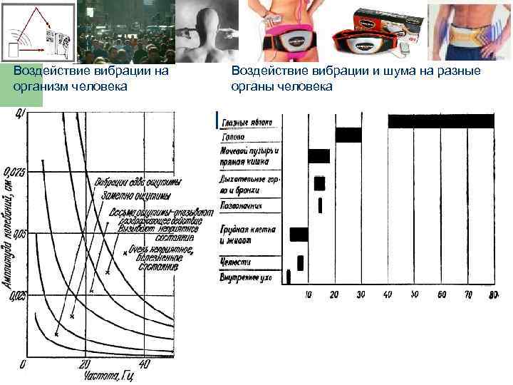 Воздействие вибрации на организм человека Воздействие вибрации и шума на разные органы человека 