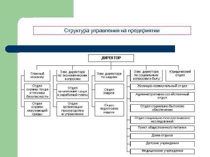 Структура управления на предприятии 