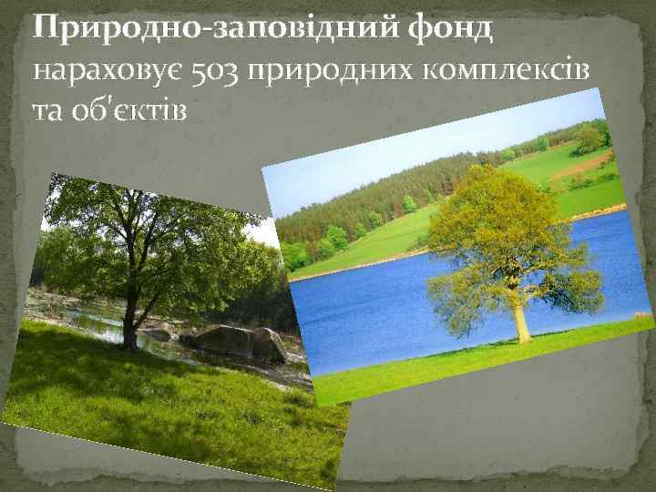 Природно-заповідний фонд нараховує 503 природних комплексів та об'єктів 