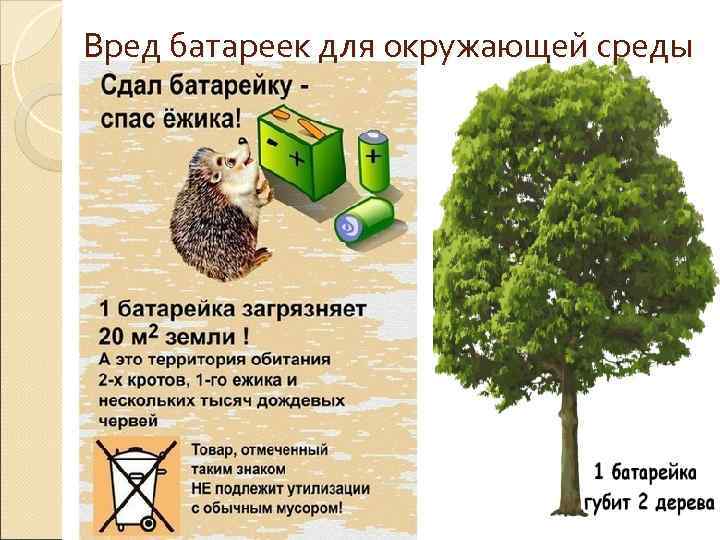 Вред батареек для окружающей среды 